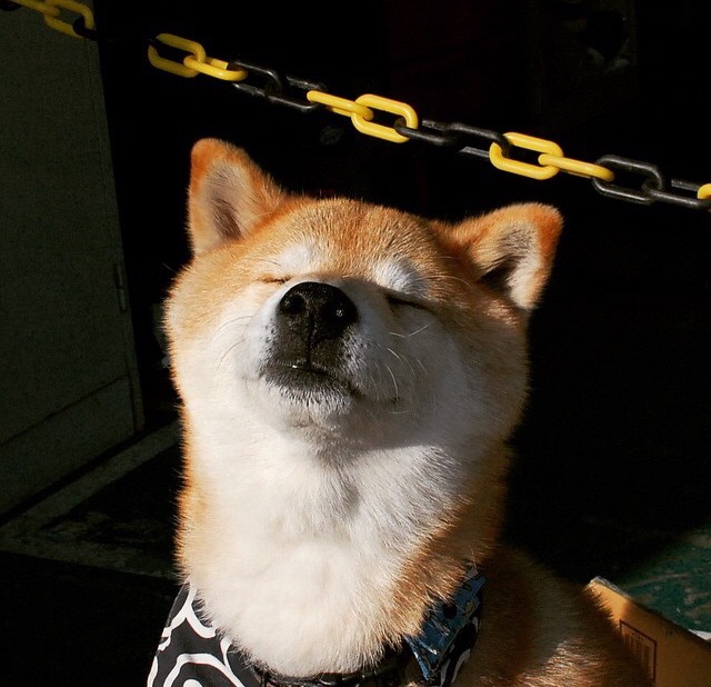 全国青少年“校园明星”篮球赛事激烈角逐冠军宝座，2020年全国青少年篮球比赛有哪些